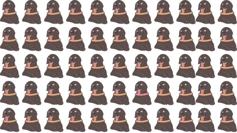 Optical Illusion Visual Test: If you have Eagle Eyes find the Odd Dog in 12 Seconds