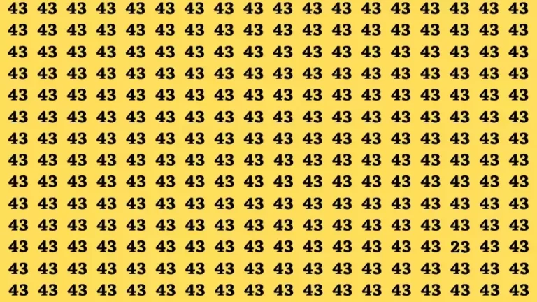 Observation Find it Out: If you have Sharp Eyes Find the number 23 in 15 Secs