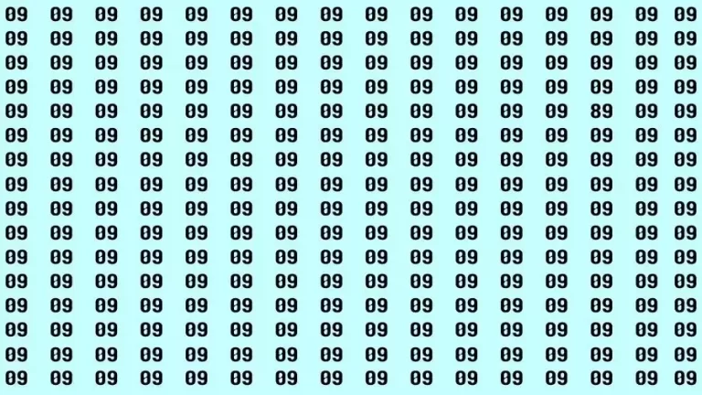 Observation Visual Test: If you have Hawk Eyes Find the Number 89 among 09 in 15 Secs