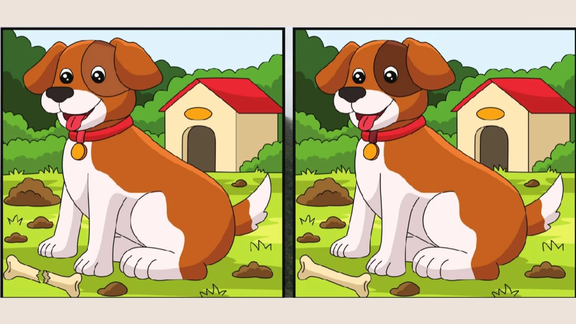 Only the most observant can spot 5 differences between the dog pictures in 16 seconds.