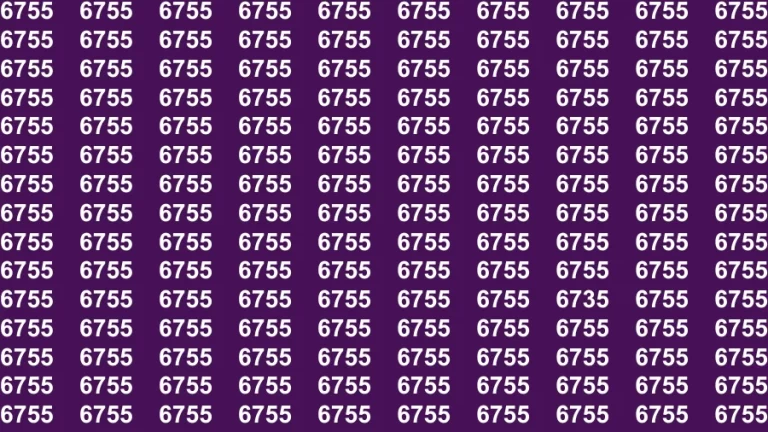 Observation Brain Challenge: If you have Hawk Eyes Find the Number 6735 in 15 Secs