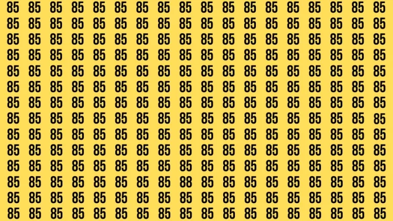 Observation Visual Test: If you have Eagle Eyes Find the Number 88 in 15 Secs