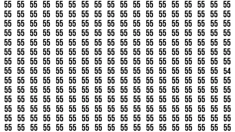 Test Visual Acuity: If you have Eagle Eyes Find the number 54 in 12 Secs