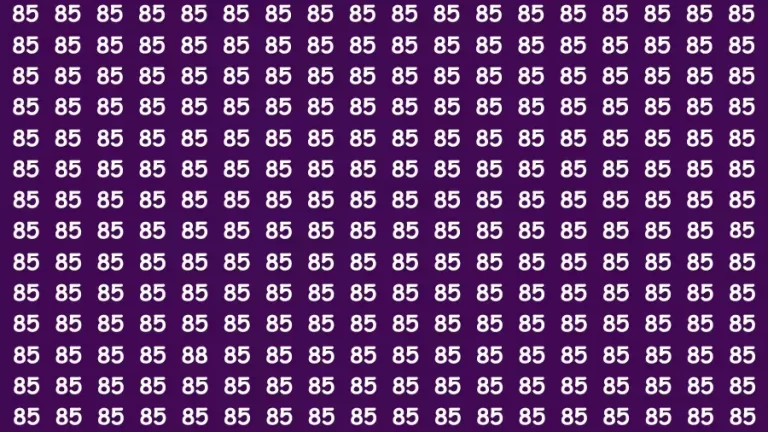 Observation Visual Test: If you have Eagle Eyes Find the number 88 in 12 Secs