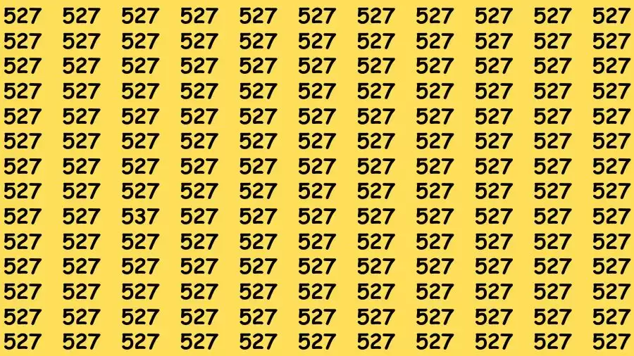 Observation Brain Challenge: If you have Hawk Eyes Find the Number 537 among 527 in 15 Secs