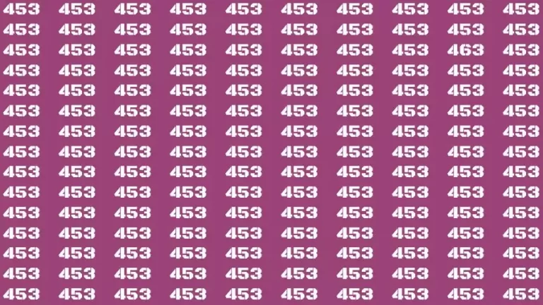 Observation Find it Out: If you have Sharp Eyes Find the number 463 in 20 Secs