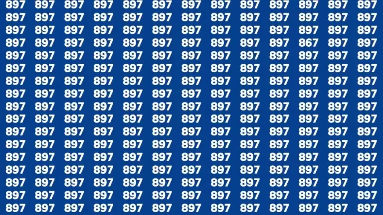 Brain Test: If you have Sharp Eyes Find the number 867 in 20 Secs