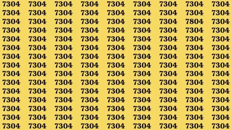 Observation Brain Challenge: If you have Eagle Eyes Find the number 7804 among 7304 in 12 Secs