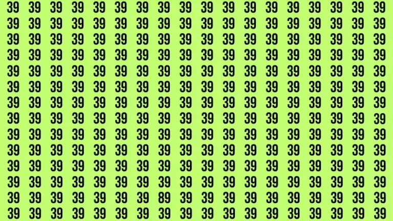 Observation Brain Challenge: If you have Hawk Eyes Find the Number 89 in 15 Secs