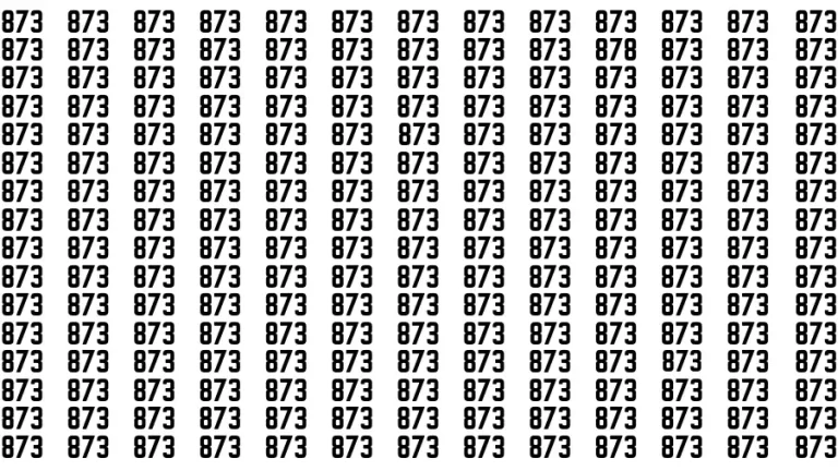 Test Visual Acuity: If you have Sharp Eyes Find the number 878 among 873 in 20 Secs