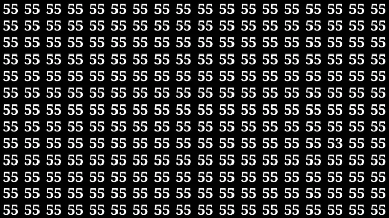 Observation Brain Test: If you have 50/50 Vision Find the Number 53 among 55 in 15 Secs