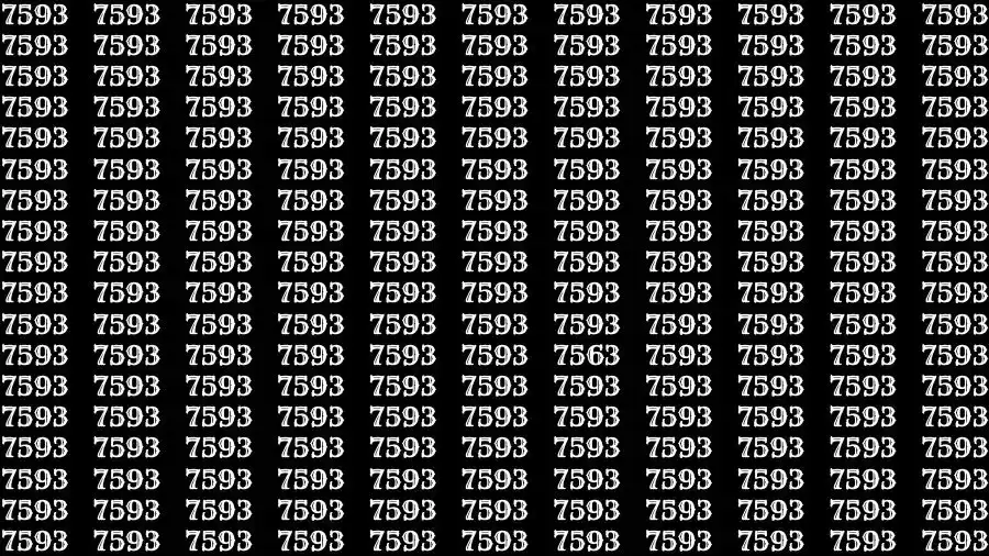 Observation Skill Test: If you have 50/50 Vision Find the number 7563 among 7593 in 10 Seconds?