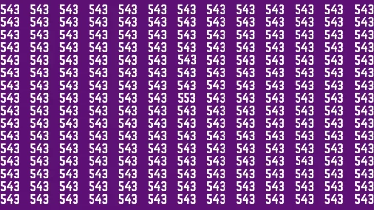 Observation Brain Test: If you have 50/50 Vision Find the Number 553 among 543 in 15 Secs