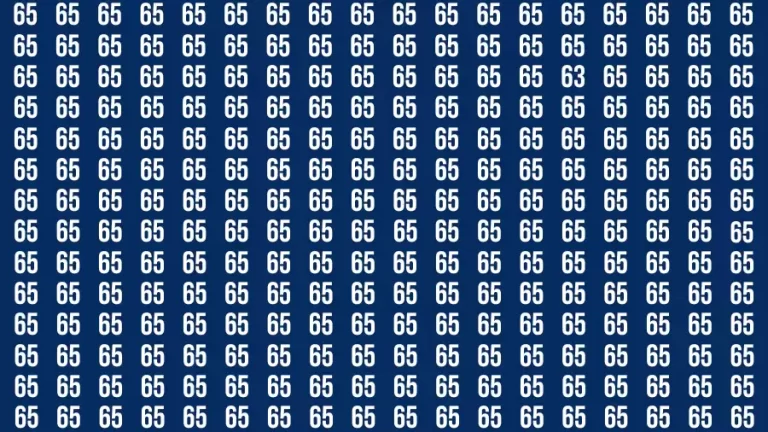 Observation Find it Out: If you have Sharp Eyes Find the number 63 in 20 Secs