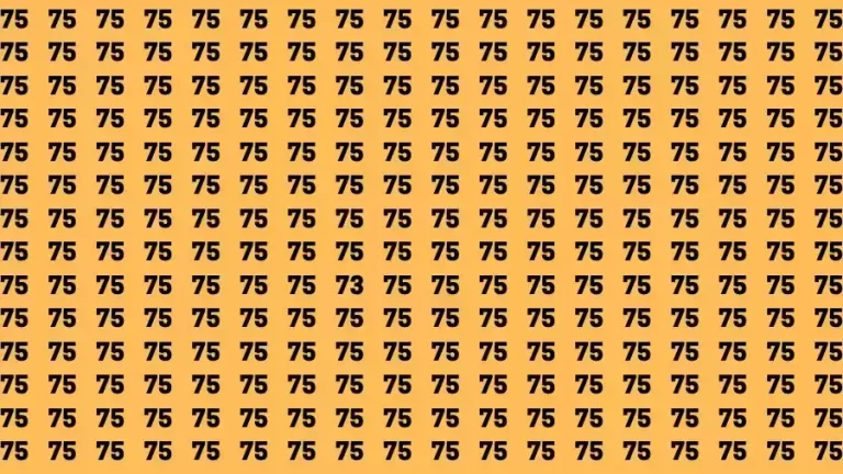 Optical Illusion Brain Challenge: If you have 50/50 Vision Find the number 73 among 75 in 12 Secs