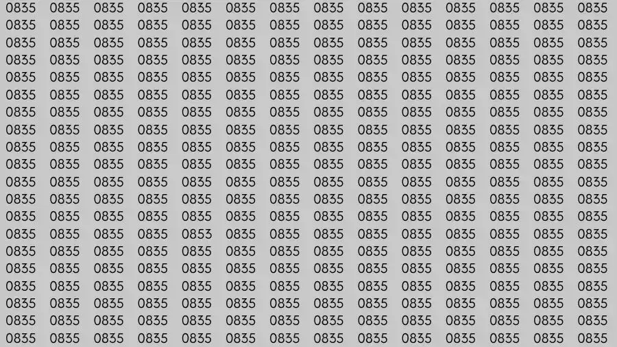Optical Illusion Brain Test: If you have Sharp Eyes Find the number 0853 among 0835 in 12 Seconds?