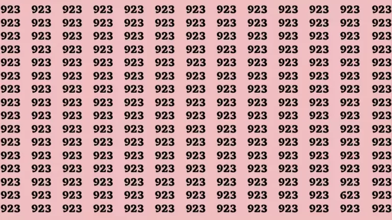 Observation Brain Challenge: If you have Eagle Eyes Find the number 623 in 12 Secs