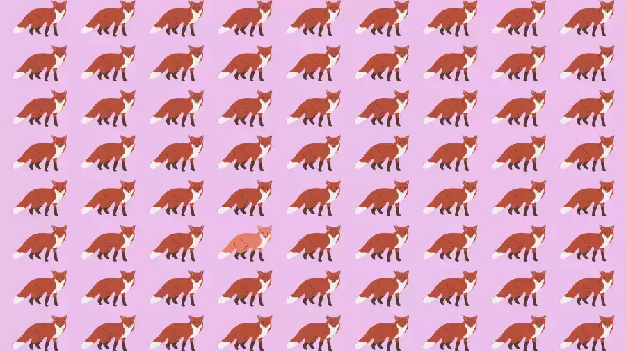 Optical Illusion Brain Test: If you have Eagle Eyes find the Odd Fox in 8 Seconds