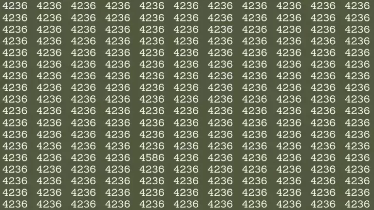 Observation Skill Test: If you have Hawk Eyes Find the number 4586 in 14 Seconds?