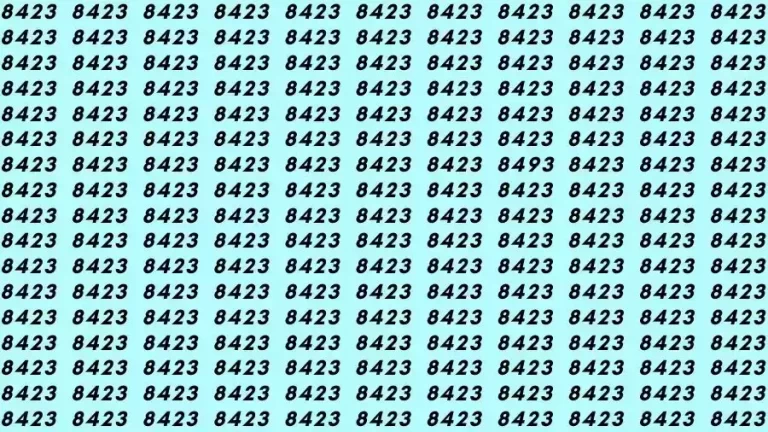 Observation Skill Test: If you have Hawk Eyes Find the number 8493 among 8423 in 10 Seconds?