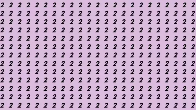 Observation Brain Test: If you have Hawk Eyes Find the number 9 among 2 in 13 Seconds?