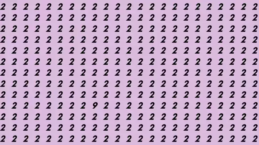 Observation Brain Test: If you have Hawk Eyes Find the number 9 among 2 in 13 Seconds?