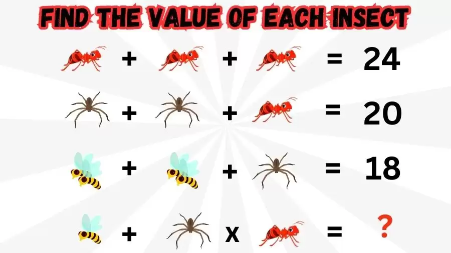 Brain Teaser Maths Quiz: Solve and Find the Value of Each Insect