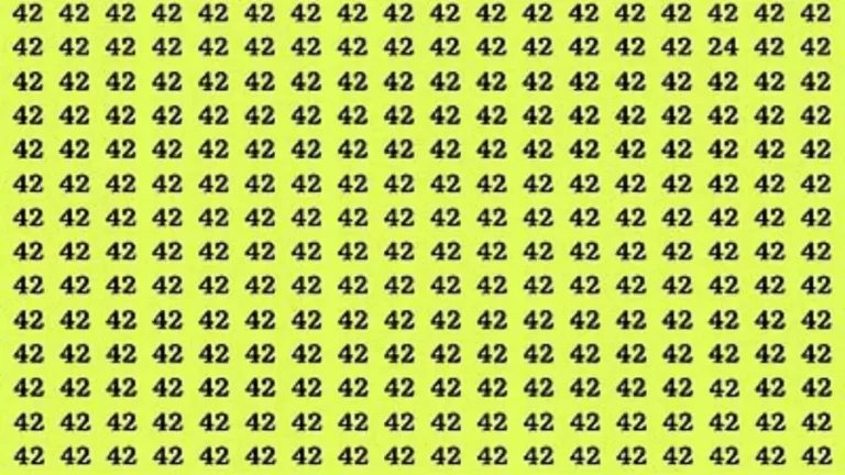 Observation Brain Test: If you have Hawk Eyes Find the Number 24 among 42 in 15 Secs