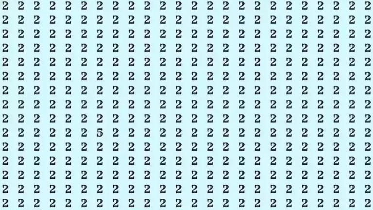 Observation Skill Test: If you have 50/50 Vision Find the number 5 among 2 in 15 Seconds?