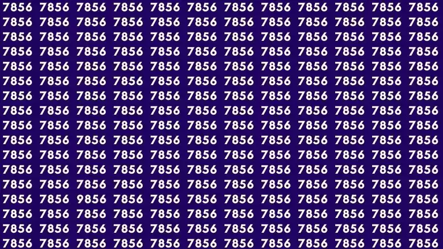 Observation Skill Test: If you have Eagle Eyes Find the number 9856 among 7856 in 15 Seconds?