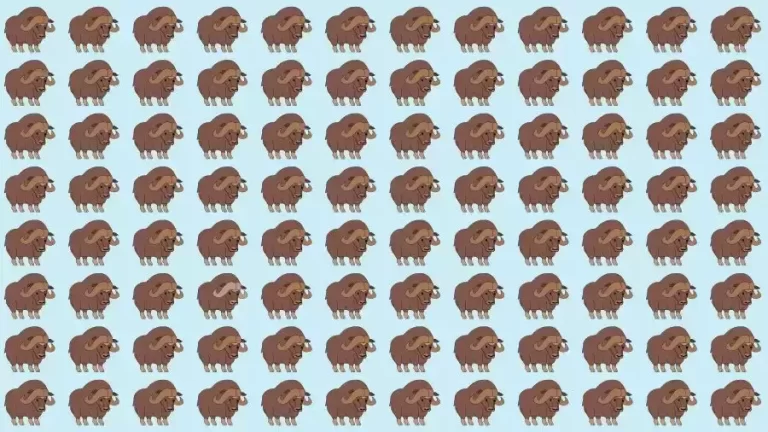 Optical Illusion Brain Test: If you have Eagle Eyes find the Odd Bison in 8 Seconds