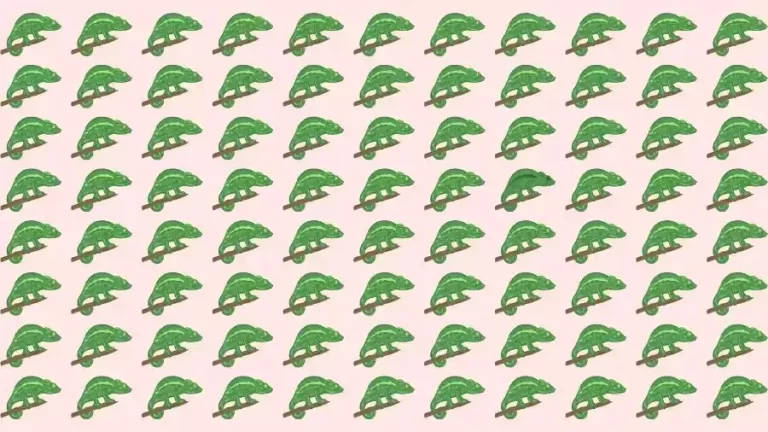 Optical Illusion Challenge: If you have Eagle Eyes find the Odd Chameleon in 15 Seconds