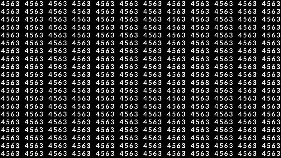 Optical Illusion Brain Test: If you have Eagle Eyes Find the number 4568 among 4563 in 12 Seconds?