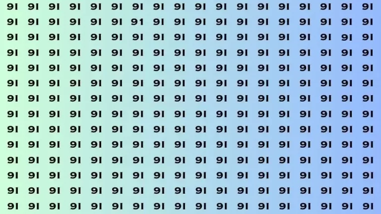 Observation Brain Out: If you have Sharp Eyes Find the number 91 in 20 Secs