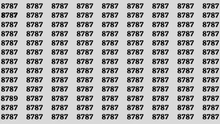 Observation Brain Test: If you have Keen Eyes Find the Number 8789 among 8787 in 15 Secs