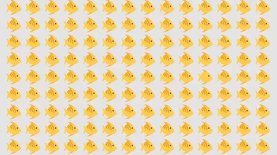 Observation Skills Test: Can you find the Odd Fish in 10 Seconds?