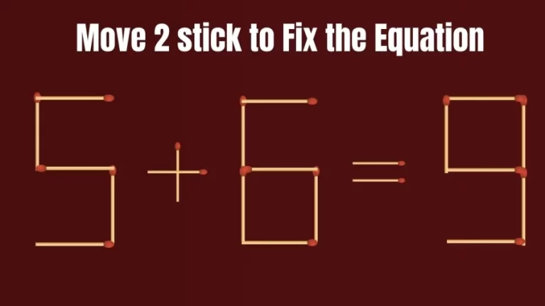 Brain Teaser: Can You Move 2 Matchsticks To Fix The Equation 5+6=9? Matchstick Puzzles