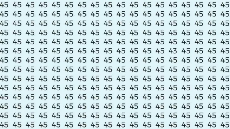 Optical Illusion Challenge: If you have Hawk Eyes Find the number 43 among 45 in 9 Seconds?