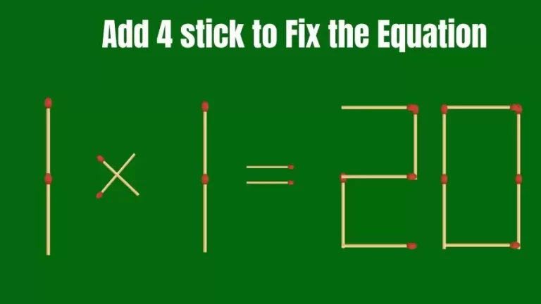 Brain Teaser: 1×1=20 Add 4 Matchsticks to Fix the Equation | Matchsticks Puzzle