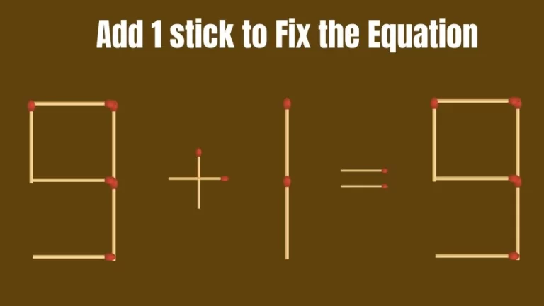 Brain Teaser: 9+1=9 Add 1 Matchstick to Fix the Equation | Matchsticks Puzzle