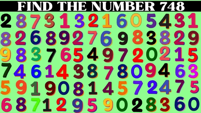 Brain Teasers for Geniuses: Find the Number 748 in 20 Seconds