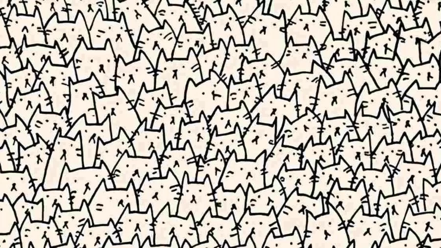 Can You Find the Hidden Dog among the Cats in 15 Seconds? Explanation And Solution to This Optical Illusion