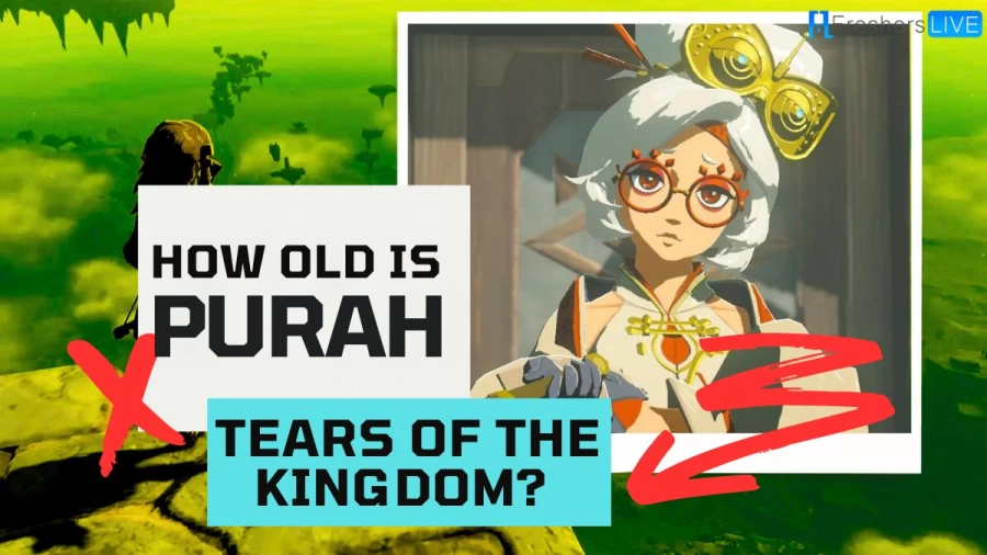 How Old is Purah in Tears of the Kingdom? Who Voices Purah in Zelda Tears of the Kingdom?