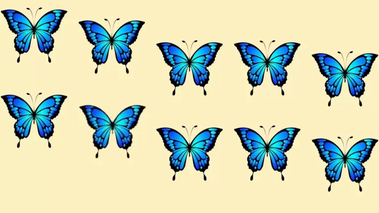 If You Have Hawk Eyes Find the Odd Butterfly In 12 Secs