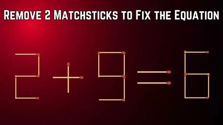 Matchstick Brain Teaser: 2+9=6 Remove 2 Matchsticks to Fix the Equation | Matchsticks Puzzle