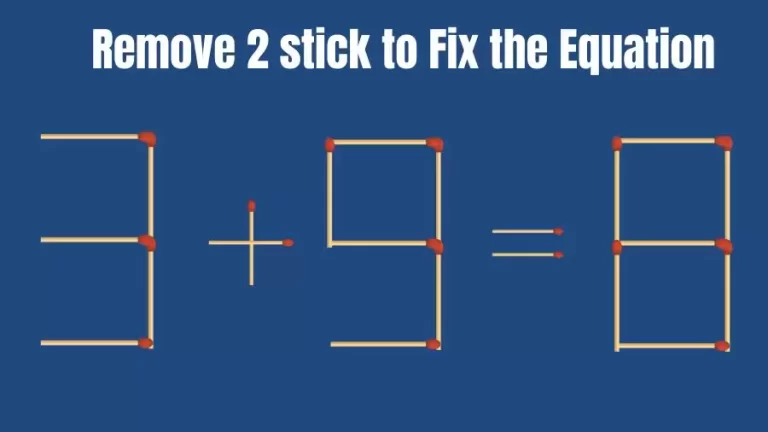 Matchstick Brain Teaser: 3+9=8 Remove 2 Matchsticks to Fix the Equation | Matchsticks Puzzle