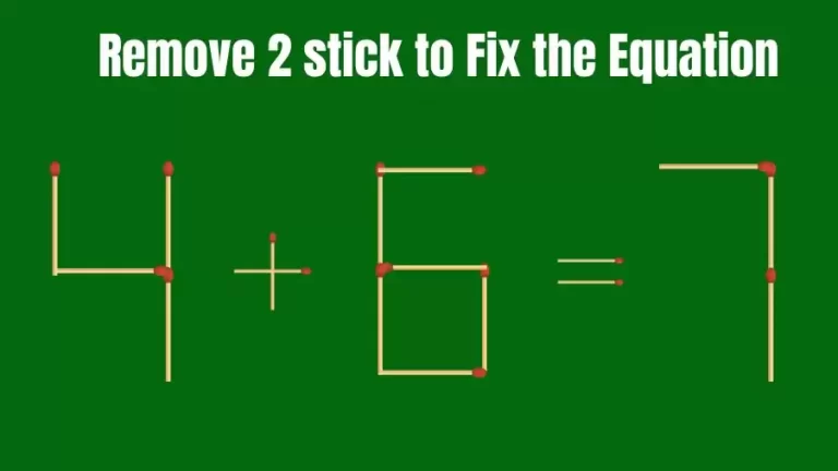 Matchstick Brain Teaser: 4+6=7 Remove 2 Matchsticks to Fix the Equation | Matchsticks Puzzle