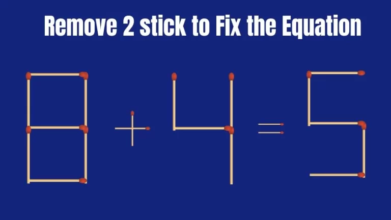 Matchstick Brain Teaser: 8+4=5 Remove 2 Matchsticks to Fix the Equation | Matchsticks Puzzle