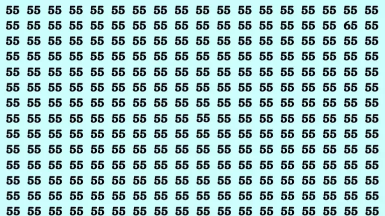 Observation Brain Test: If you have 50/50 Vision Eyes Find the Number 65 in 15 Secs