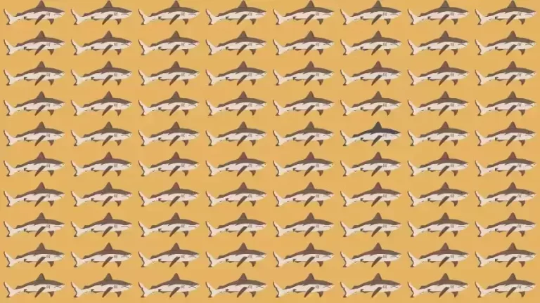 Observation Skills Test: Can you find the Odd Shark in 10 Seconds?